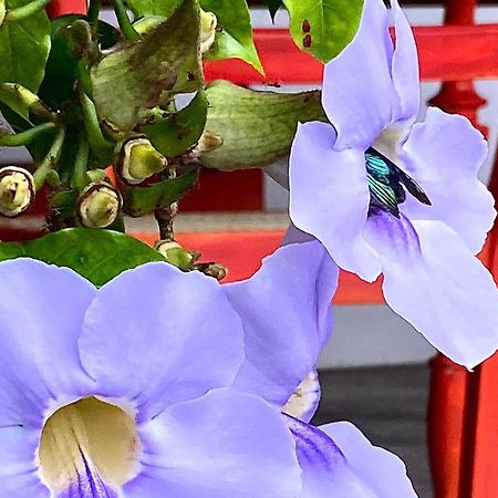 Goddess Kandy Dış mekan fotoğraf