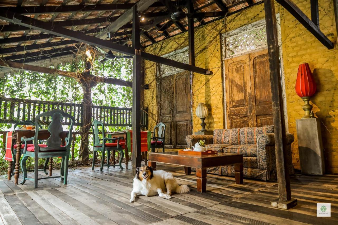Goddess Kandy Dış mekan fotoğraf