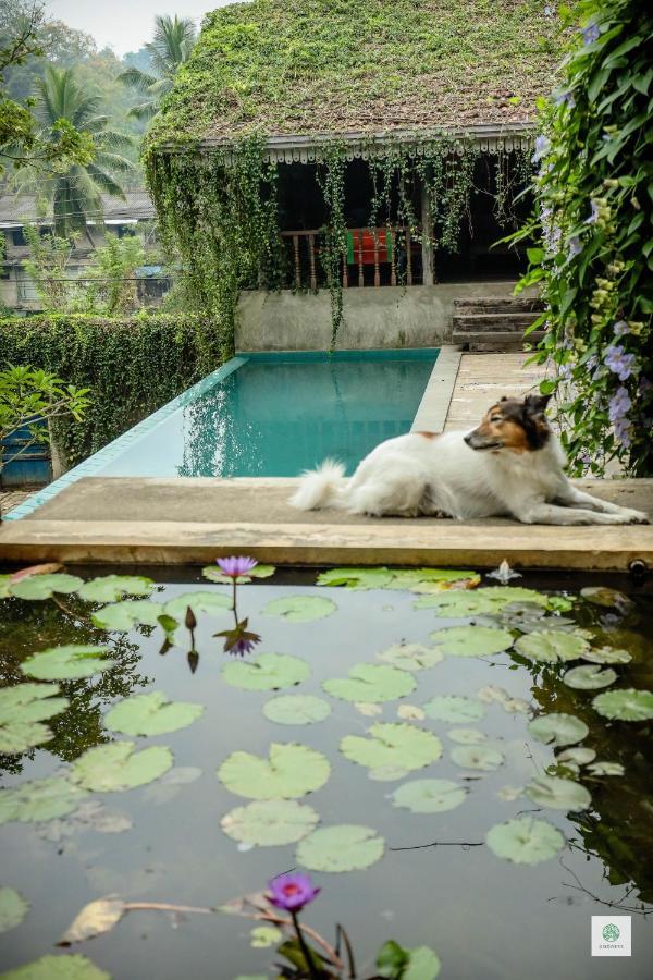 Goddess Kandy Dış mekan fotoğraf