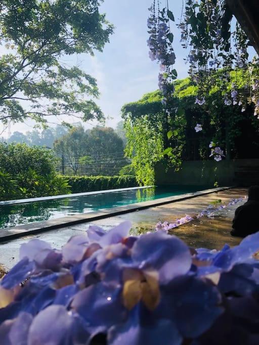 Goddess Kandy Dış mekan fotoğraf