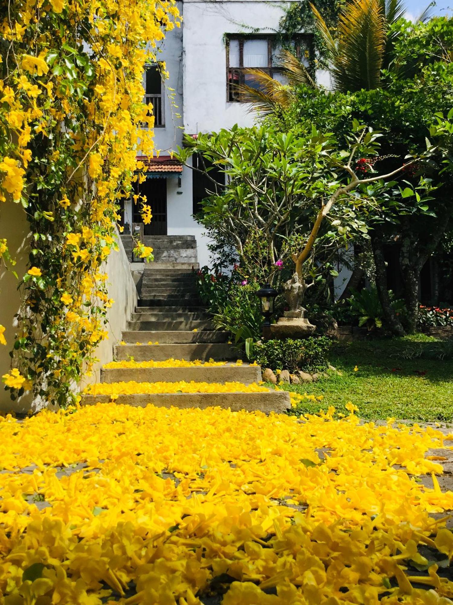 Goddess Kandy Dış mekan fotoğraf